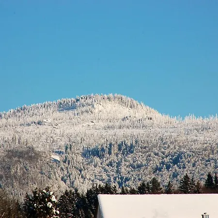 Bayerwald Guest house Spiegelau