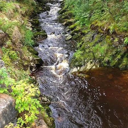 Bayerwald 3* Spiegelau