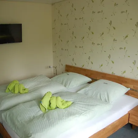 Bayerwald Guest house Spiegelau